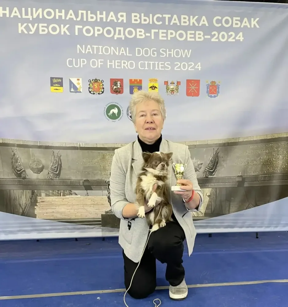 Рот Стар Нон Грандт Биткоин — чихуахуа с хендлером у баннера выставки
