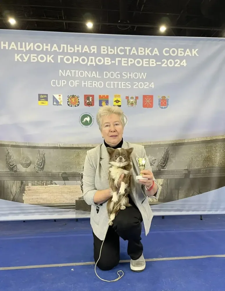 Рот Стар Нон Грандт Биткоин — чихуахуа на руках у хендлера с наградой на выставке